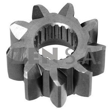 ZEN-12656 — ZEN 12656 — Piñones