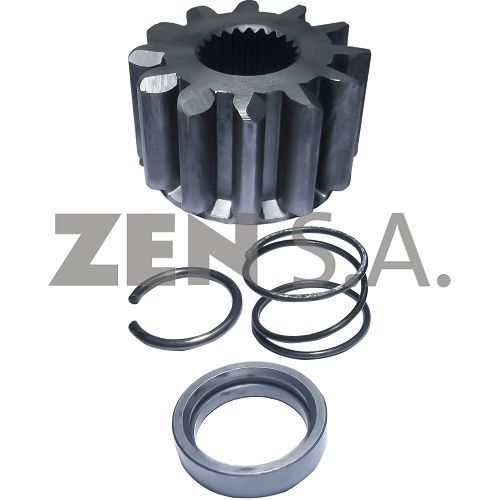 ZEN-13132 — ZEN 13132 — Piñones