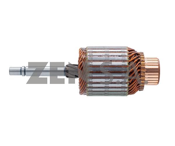 ZEN-24085 — ZEN 24085 — Inducidos