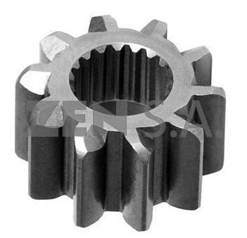 ZEN-9781 — ZEN 9781 — Piñones