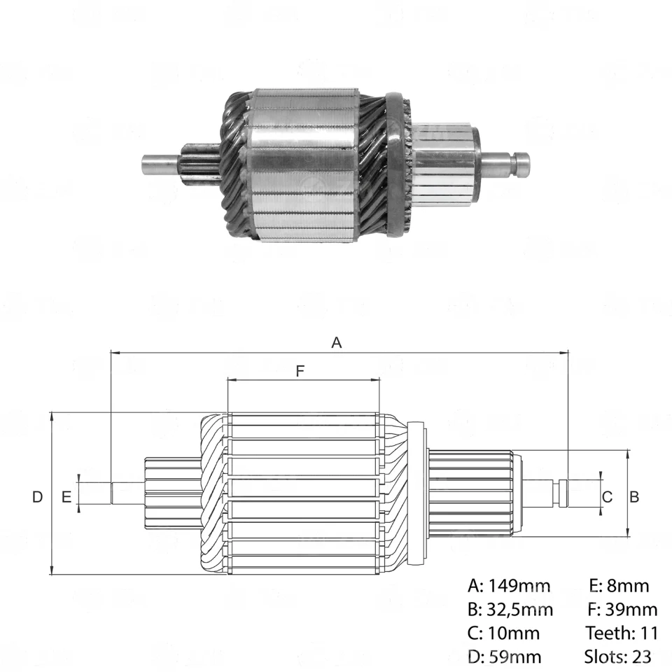ZM-83.978.03 — Inducidos