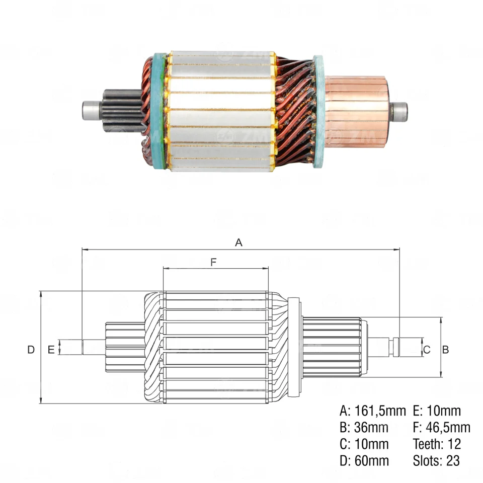 ZM-8381801 — Inducidos